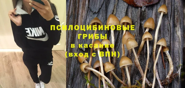 бутират Алзамай